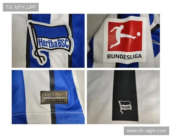 德甲中穿蓝色球衣的球队有哪些？