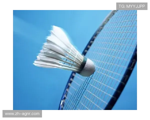 羽毛球英式英语