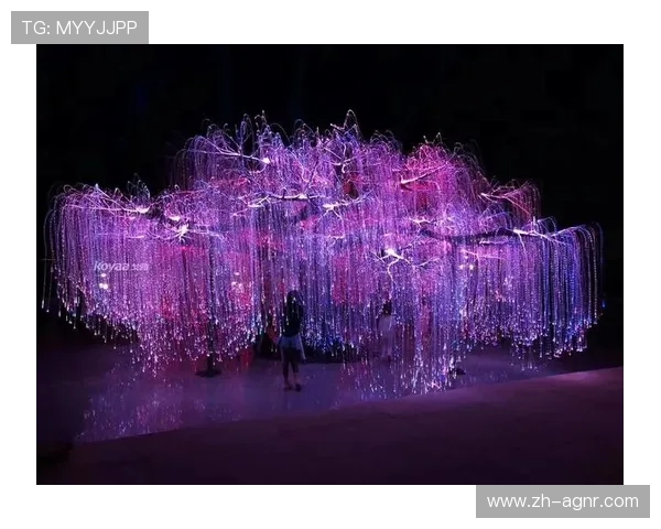 阿凡达健身器材产品介绍与用户评价