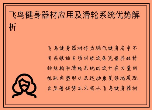 飞鸟健身器材应用及滑轮系统优势解析